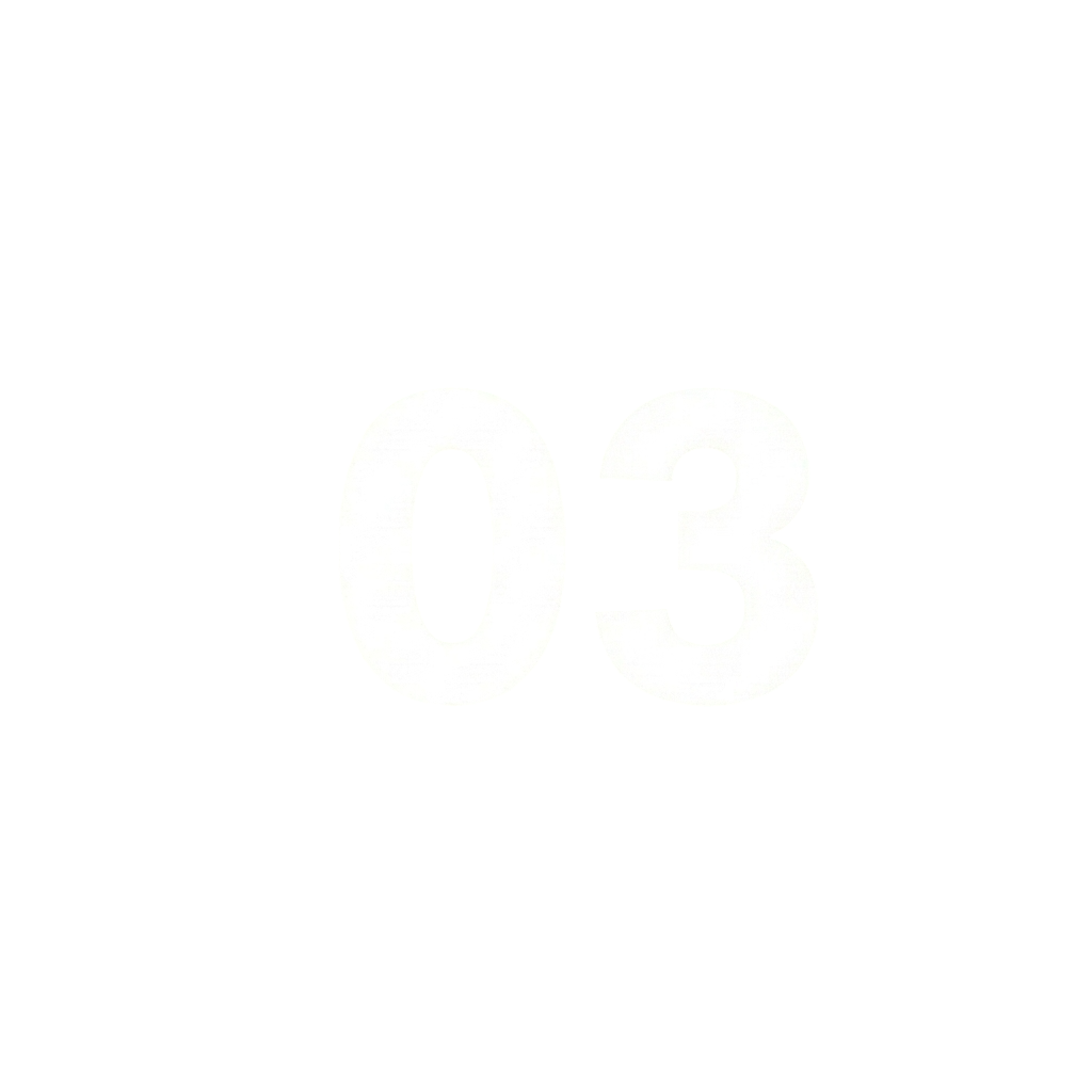 03